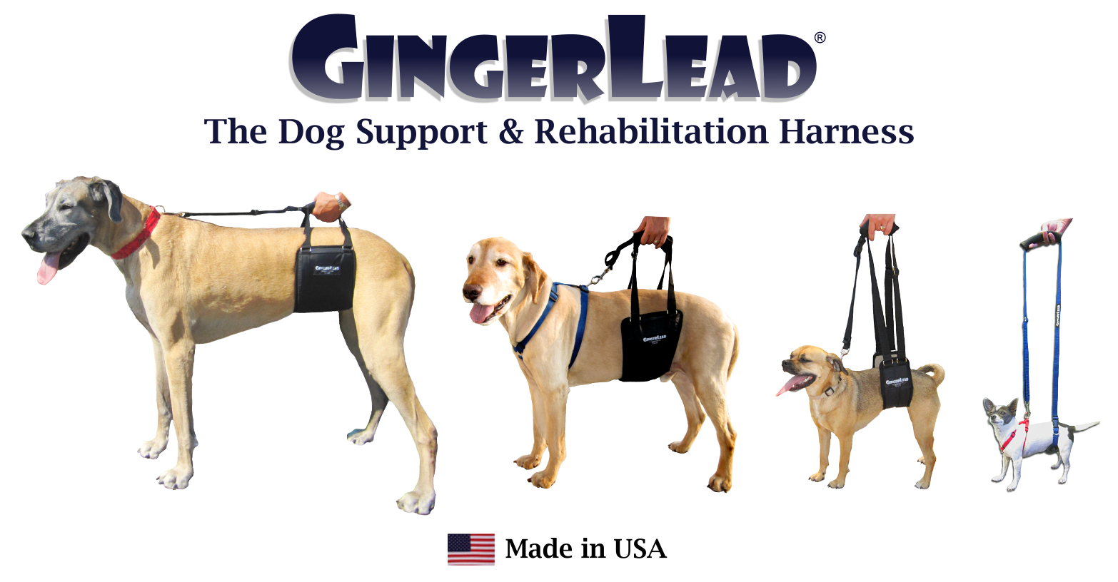 GingerLead Dog Sling Support Harnesses 