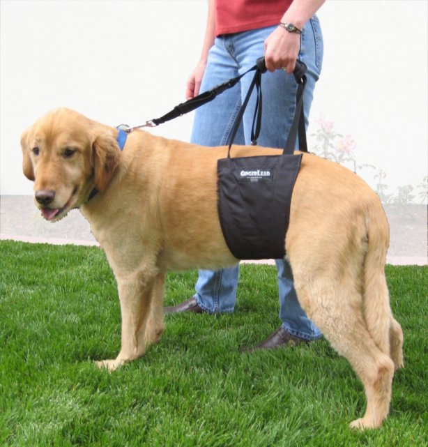 Large Male Dog Support Harness / Sling