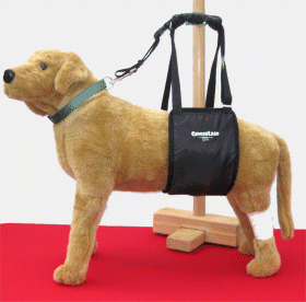 Large Female Dog Support Harness / Sling