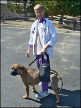 GingerLead Dog Lift Harness is recommended by Veterinarians.  Lola using a Large Female GingerLead while recovering from hip surgery (FHO)