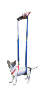 GingerLead Sling for Small Dogs - Chihuahua, Dachshunds, Cats, Kittens