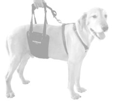 GingerLead Slings for Support Fit Toy Breed to Giant Breed Dogs