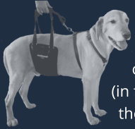 GingerLead Slings for Dogs are a Dog Wheelchair Cart alternative