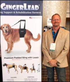 GingerLead is Recommended by Veterinarians and Orthopedic Surgeons