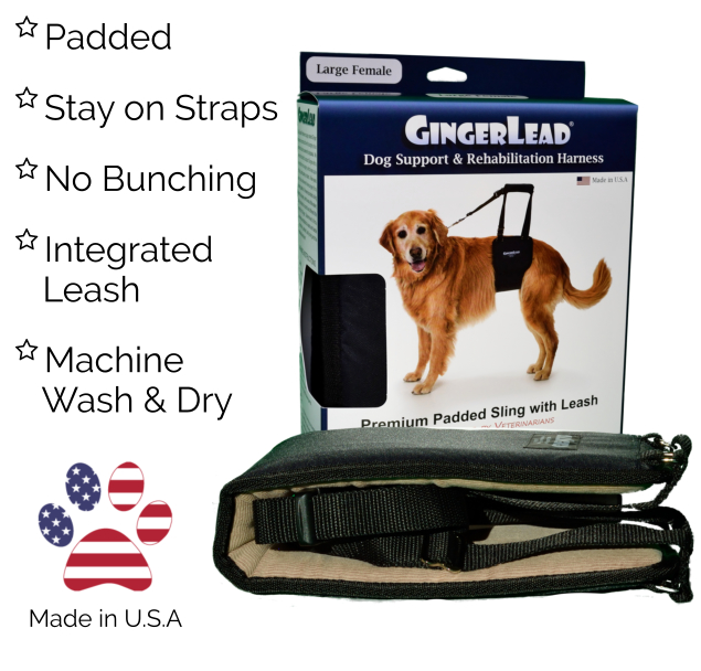 Gingerlead support sling hotsell