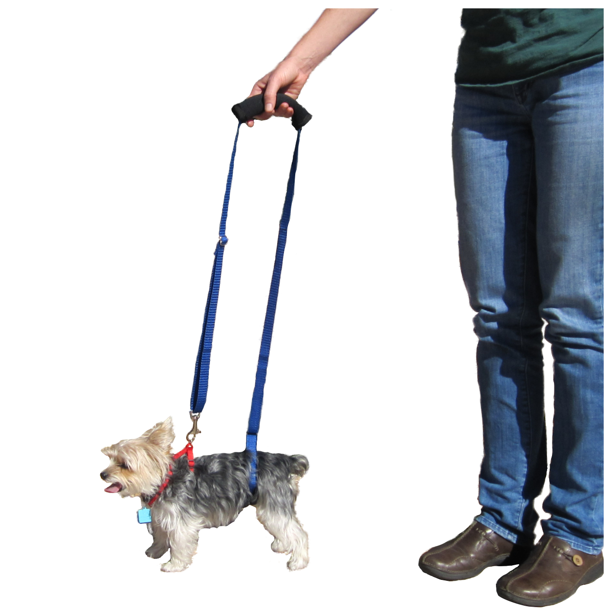 Mini GingerLead Support Sling/Harness for Toy Breed Dogs, or Cat and ...