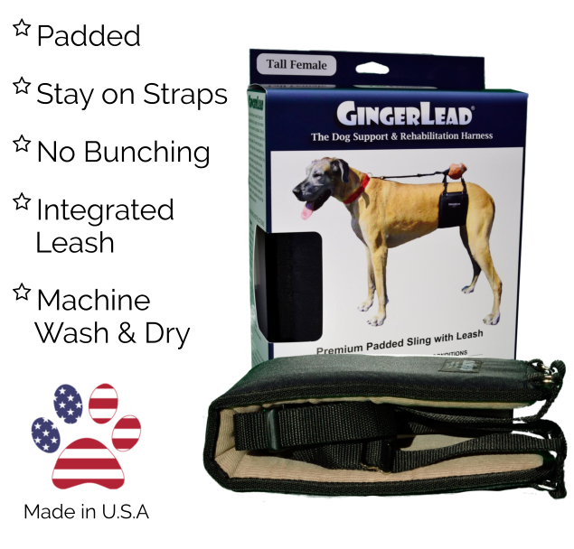 Gingerlead cheap dog sling