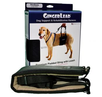 gingerlead dog harness