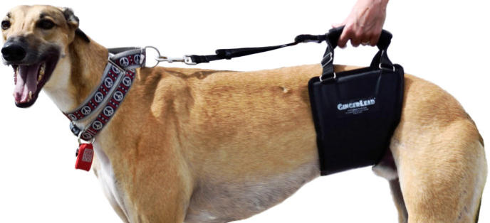 GingerLead Dog Sling Support Harnesses for Old or Injured Pets