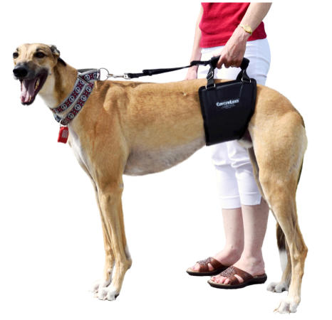 Where to Buy GingerLead Lift Harness International Orders